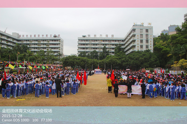 金稻田学校:体育文化艺术节报道 